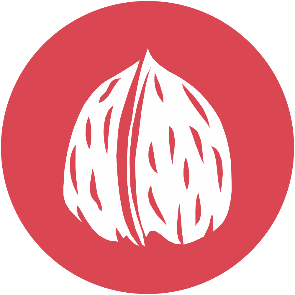 Frutos de cáscara