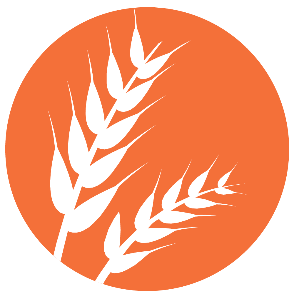 Gluten